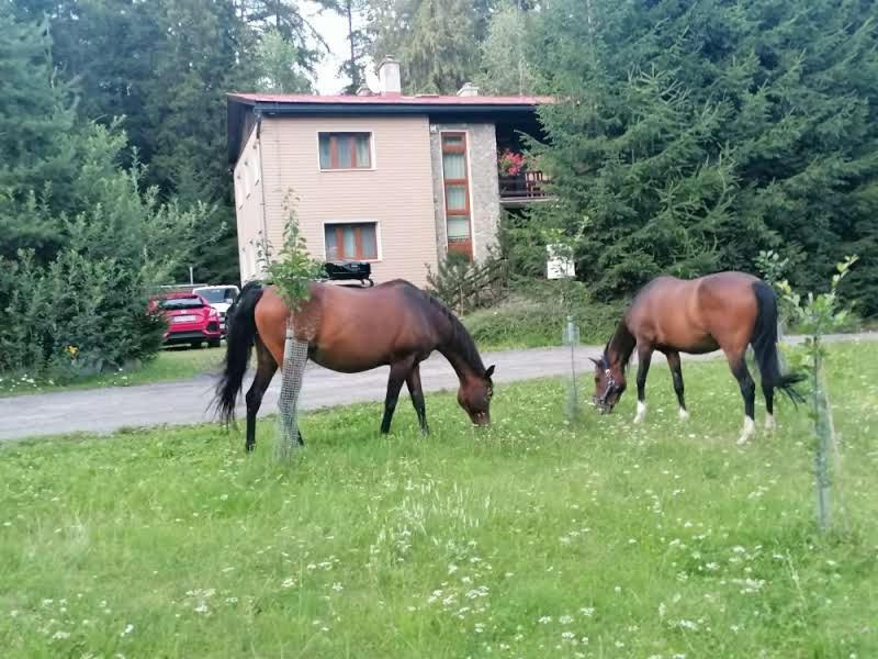 Horska Chata Ziaranka Liptovský Mikuláš المظهر الخارجي الصورة